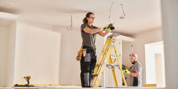 Best Electric Panel Repair  in Dresser, WI